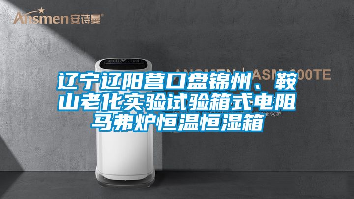 遼寧遼陽(yáng)營(yíng)口盤(pán)錦州、鞍山老化實(shí)驗(yàn)試驗(yàn)箱式電阻馬弗爐恒溫恒濕箱