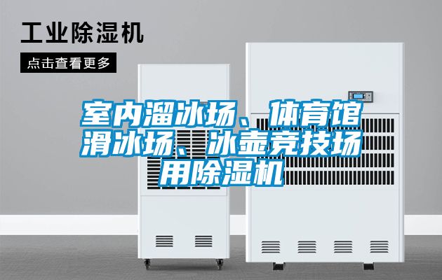 室內(nèi)溜冰場、體育館滑冰場、冰壺競技場用除濕機(jī)