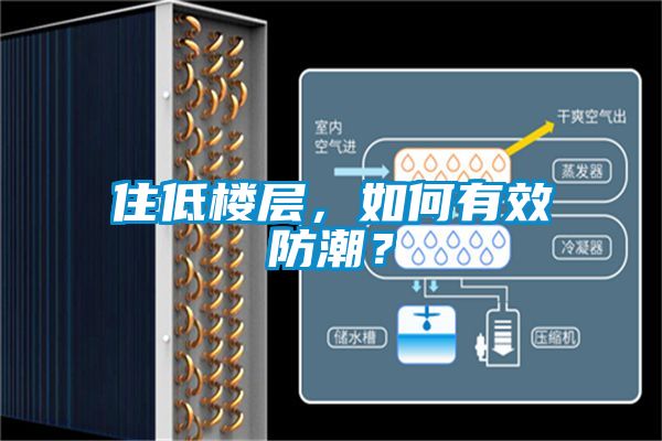 住低樓層，如何有效防潮？