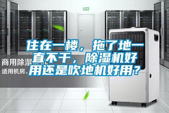 住在一樓，拖了地一直不干，除濕機(jī)好用還是吹地機(jī)好用？