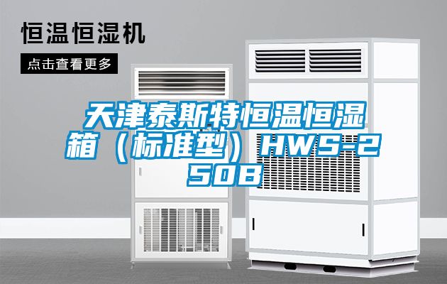 天津泰斯特恒溫恒濕箱(標(biāo)準(zhǔn)型)HWS-250B