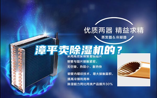 漳平賣除濕機的？