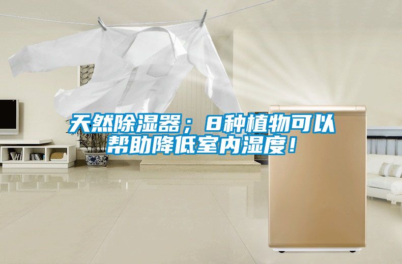 天然除濕器；8種植物可以幫助降低室內(nèi)濕度！