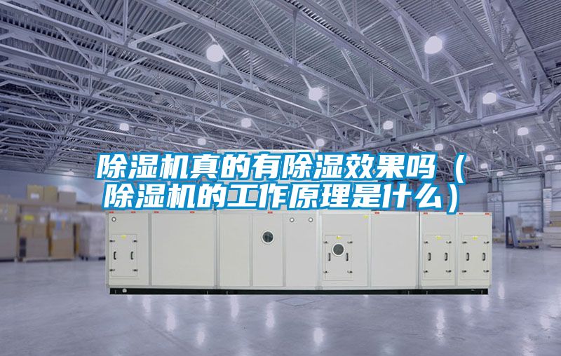 除濕機(jī)真的有除濕效果嗎(除濕機(jī)的工作原理是什么)