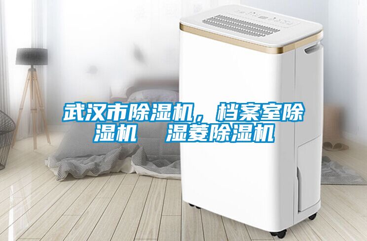 武漢市除濕機(jī)，檔案室除濕機(jī)  濕菱除濕機(jī)