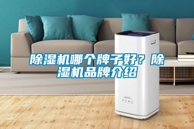 除濕機哪個牌子好?除濕機品牌介紹