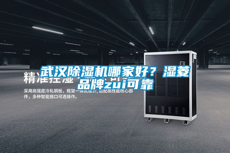 武漢除濕機哪家好？濕菱品牌zui可靠