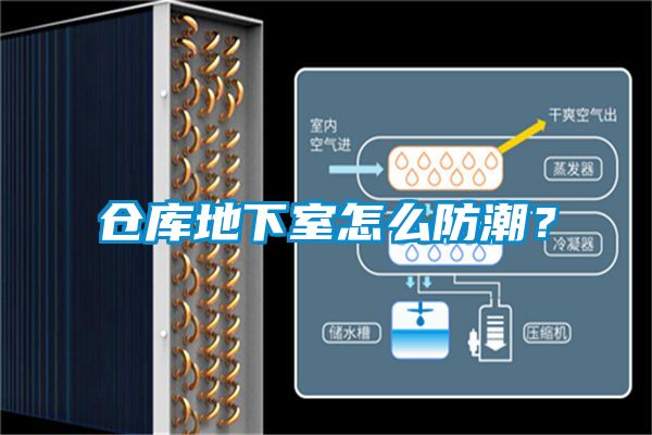 倉(cāng)庫(kù)地下室怎么防潮？