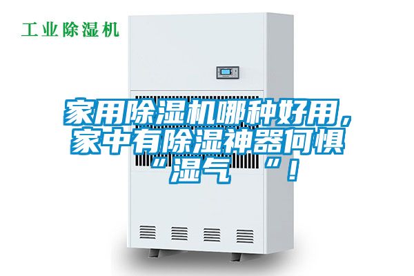 家用除濕機哪種好用，家中有除濕神器何懼 “濕氣 “！