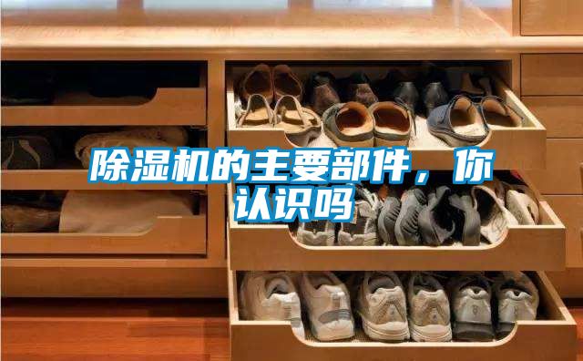 除濕機(jī)的主要部件，你認(rèn)識(shí)嗎