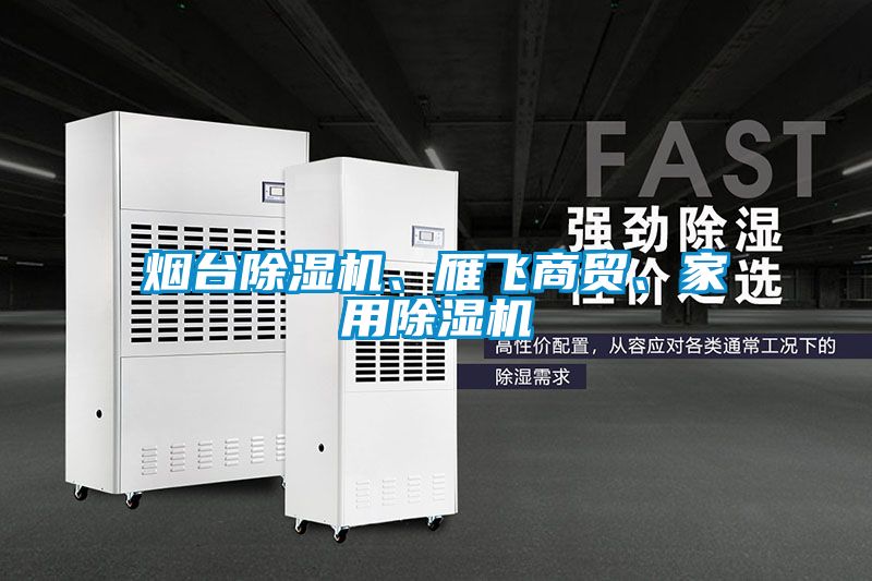 煙臺(tái)除濕機(jī)、雁飛商貿(mào)、家用除濕機(jī)