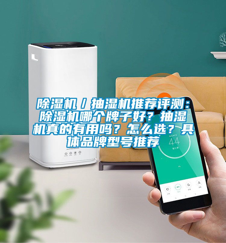 除濕機(jī)／抽濕機(jī)推薦評測：除濕機(jī)哪個牌子好？抽濕機(jī)真的有用嗎？怎么選？具體品牌型號推薦