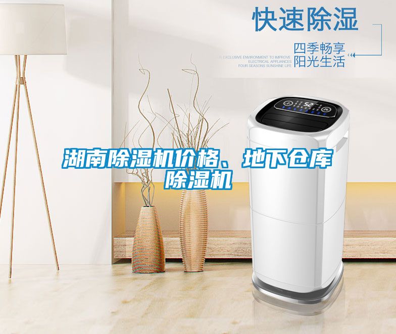 湖南除濕機(jī)價(jià)格、地下倉(cāng)庫(kù)除濕機(jī)