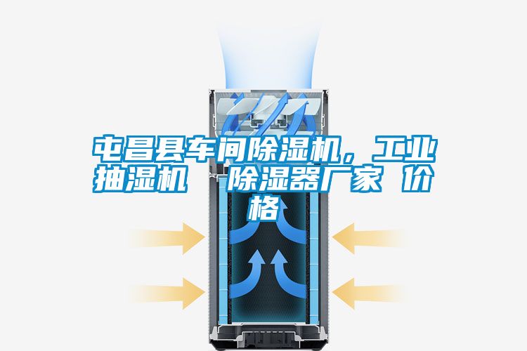 屯昌縣車間除濕機，工業(yè)抽濕機  除濕器廠家 價格
