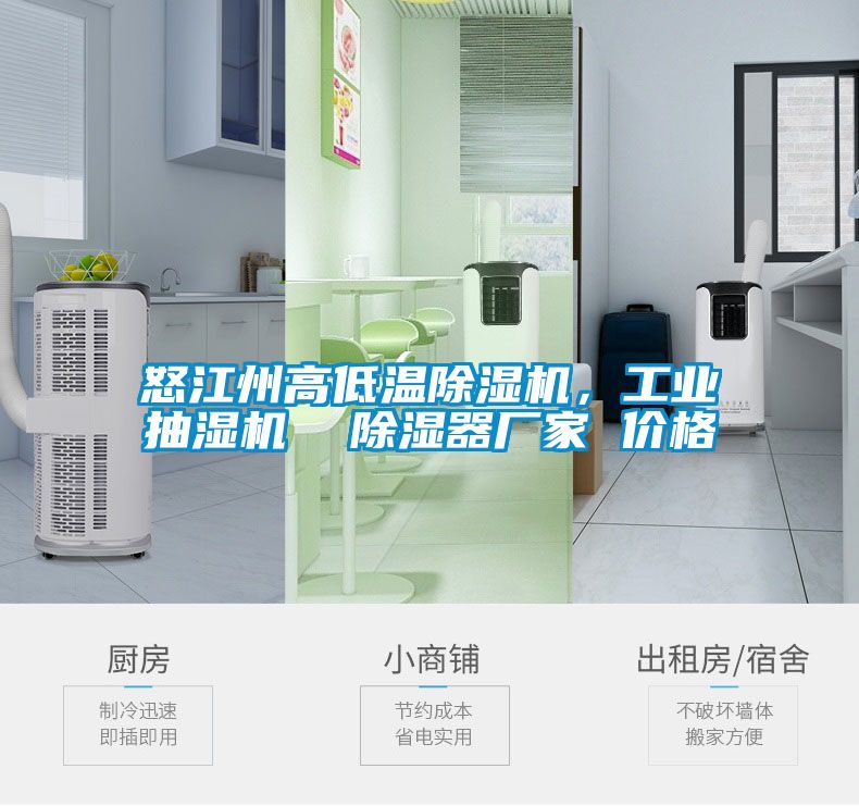 怒江州高低溫除濕機(jī)，工業(yè)抽濕機(jī)  除濕器廠家 價(jià)格