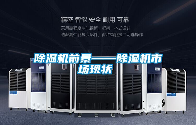 除濕機(jī)前景——除濕機(jī)市場現(xiàn)狀‍‍