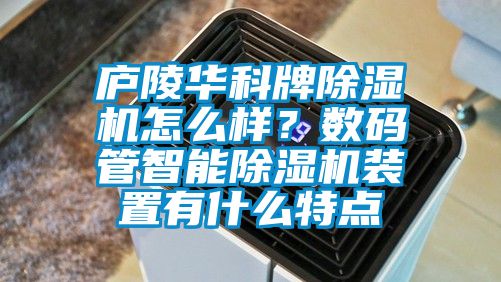 廬陵華科牌除濕機怎么樣？數(shù)碼管智能除濕機裝置有什么特點