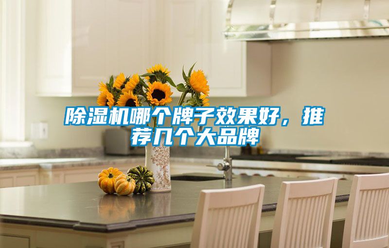 除濕機(jī)哪個牌子效果好，推薦幾個大品牌