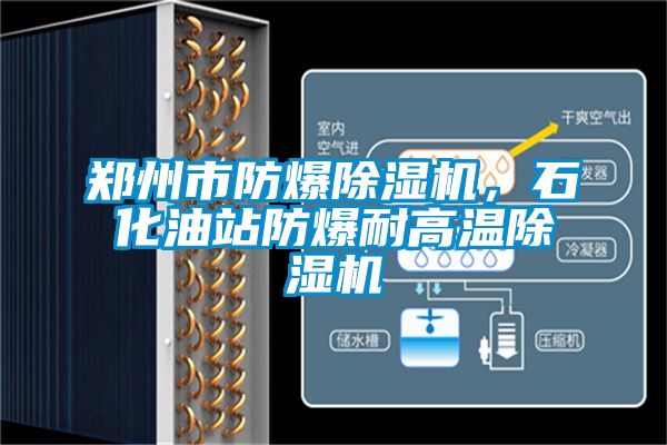 鄭州市防爆除濕機(jī)，石化油站防爆耐高溫除濕機(jī)