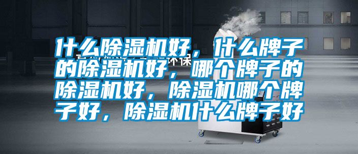 什么除濕機好，什么牌子的除濕機好，哪個牌子的除濕機好，除濕機哪個牌子好，除濕機什么牌子好