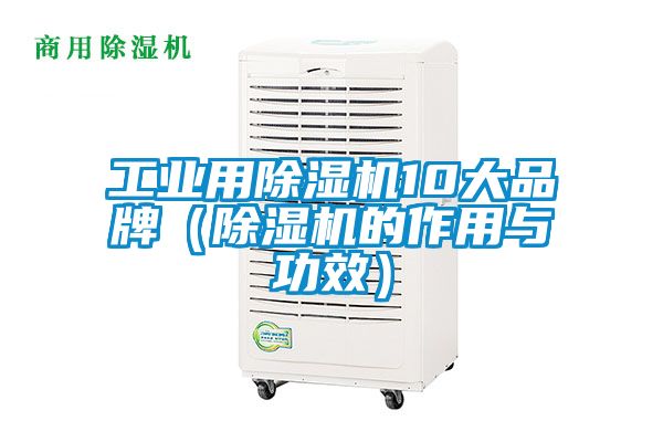 工業(yè)用除濕機(jī)10大品牌(除濕機(jī)的作用與功效)