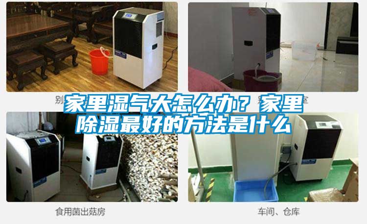 家里濕氣大怎么辦？家里除濕最好的方法是什么