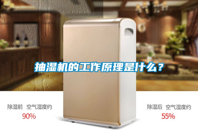 抽濕機的工作原理是什么？