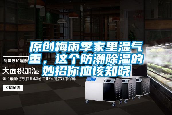 原創(chuàng)梅雨季家里濕氣重，這個(gè)防潮除濕的妙招你應(yīng)該知曉