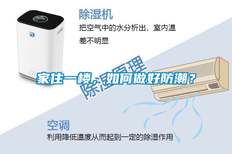 家住一樓，如何做好防潮？