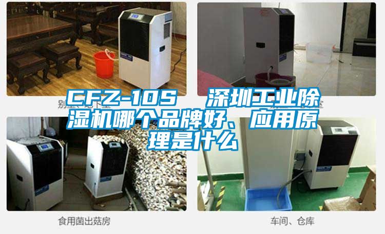 CFZ-10S  深圳工業(yè)除濕機(jī)哪個(gè)品牌好、應(yīng)用原理是什么