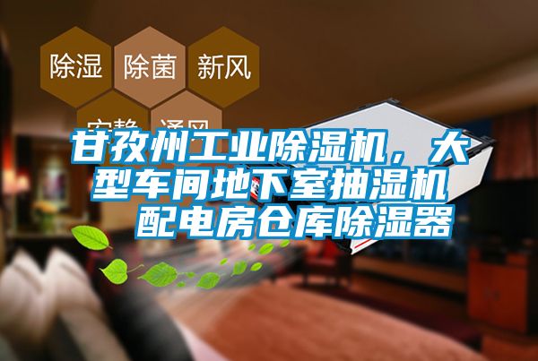 甘孜州工業(yè)除濕機(jī)，大型車間地下室抽濕機(jī)  配電房倉庫除濕器