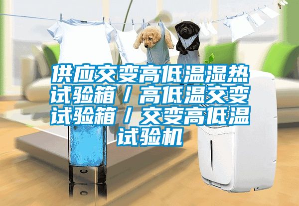 供應(yīng)交變高低溫濕熱試驗(yàn)箱/高低溫交變?cè)囼?yàn)箱/交變高低溫試驗(yàn)機(jī)